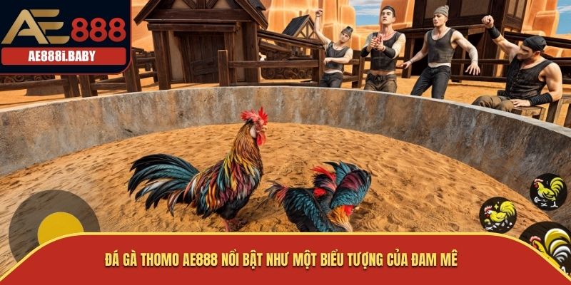 Khám Phá Đá Gà Thomo - Truyền Thống Và Đam Mê Trong Thế Giới Cá Cược AE888 1 Đá gà Thomo AE888 nổi bật như một biểu tượng của đam mê