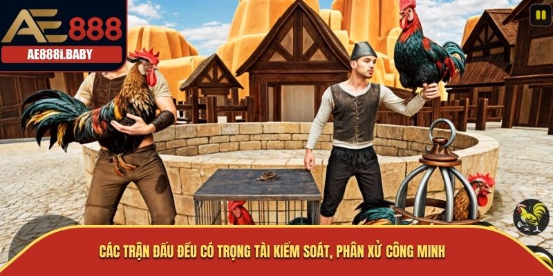 Khám Phá Đá Gà Thomo - Truyền Thống Và Đam Mê Trong Thế Giới Cá Cược AE888 2 Các trận đấu đều có trọng tài kiểm soát, phân xử công minh