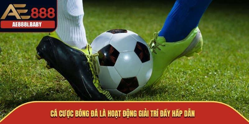 Cá Cược Bóng Đá là hoạt động giải trí đầy hấp dẫn