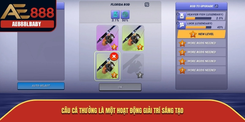 Câu Cá Thưởng là một hoạt động giải trí sáng tạo