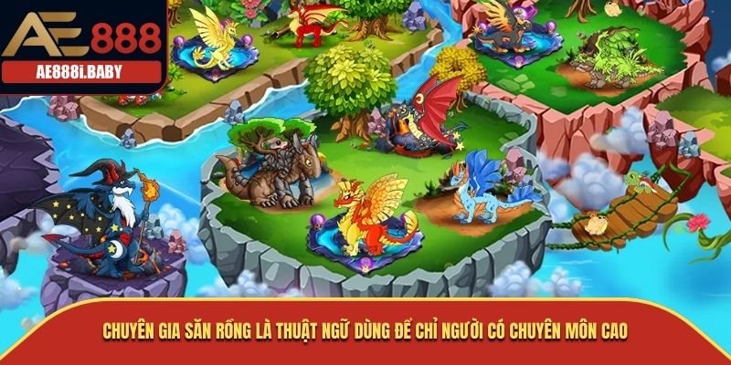 Chuyên Gia Săn Rồng là thuật ngữ dùng để chỉ người có chuyên môn cao