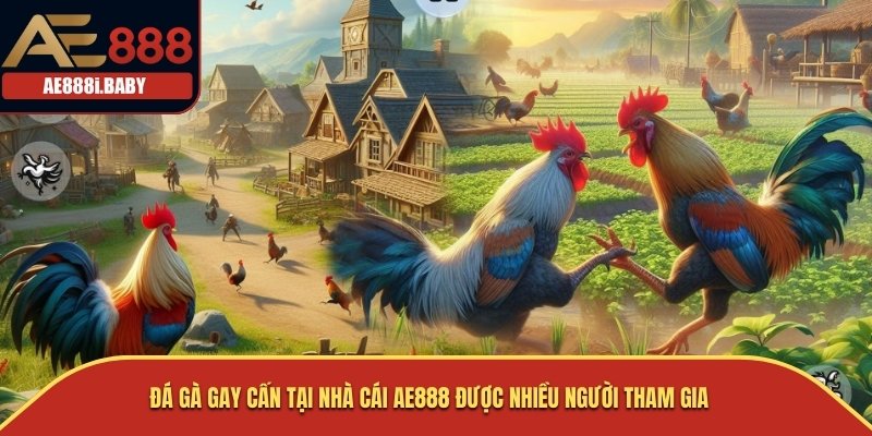 Đá gà gay cấn tại nhà cái AE888 được nhiều người tham gia